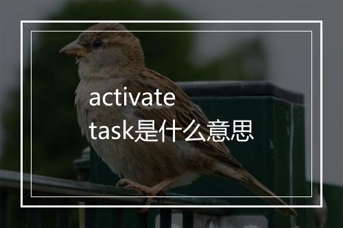 activate task是什么意思