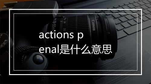 actions penal是什么意思