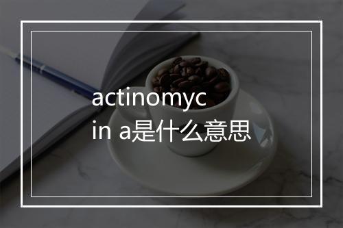 actinomycin a是什么意思