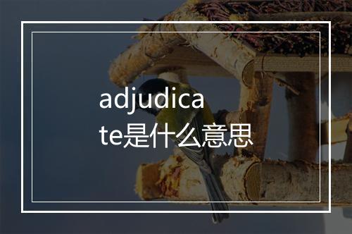 adjudicate是什么意思