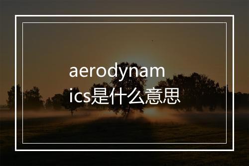 aerodynamics是什么意思