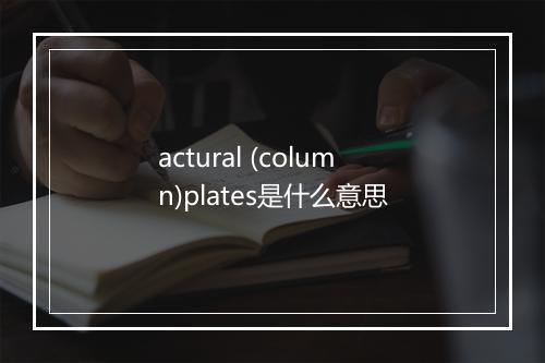 actural (column)plates是什么意思