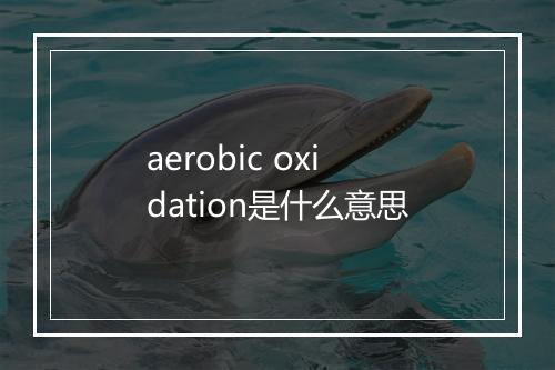 aerobic oxidation是什么意思