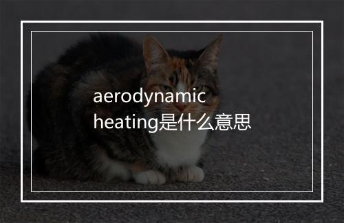 aerodynamic heating是什么意思