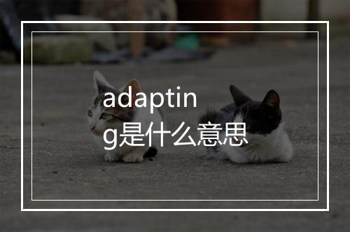 adapting是什么意思