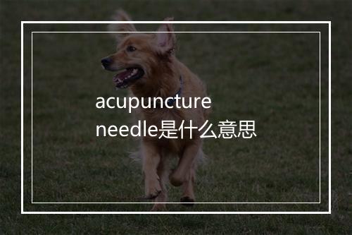 acupuncture needle是什么意思