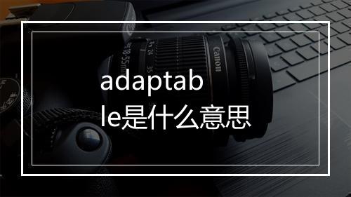 adaptable是什么意思