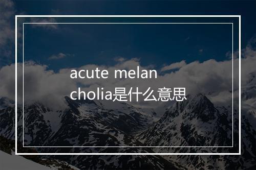 acute melancholia是什么意思