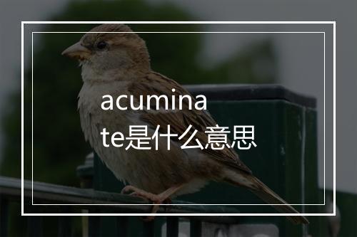 acuminate是什么意思