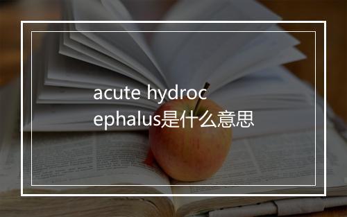 acute hydrocephalus是什么意思