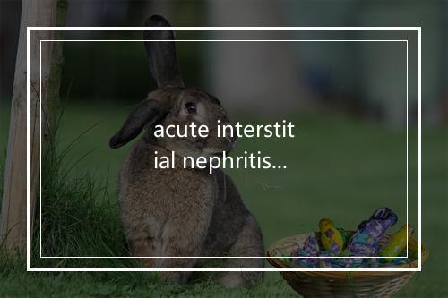 acute interstitial nephritis是什么意思