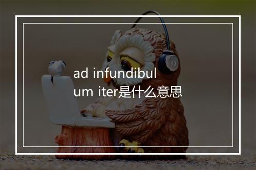 ad infundibulum iter是什么意思