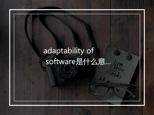 adaptability of software是什么意思