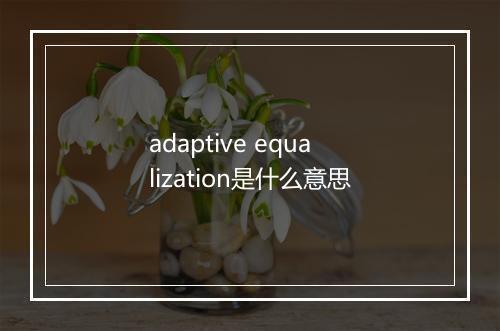 adaptive equalization是什么意思