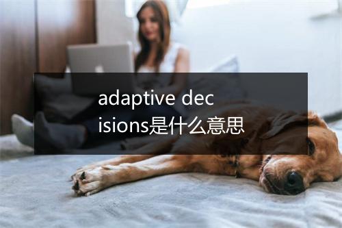 adaptive decisions是什么意思