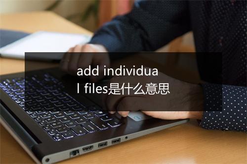 add individual files是什么意思