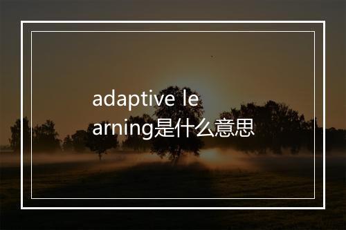 adaptive learning是什么意思