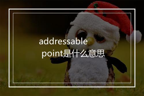 addressable point是什么意思