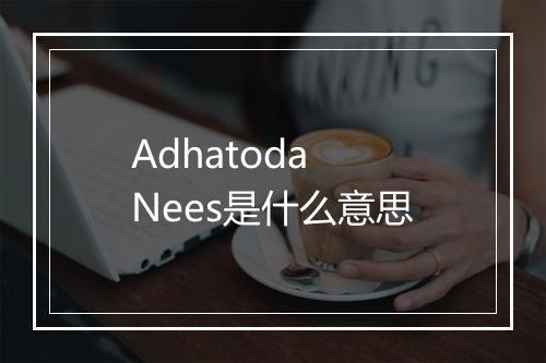 Adhatoda Nees是什么意思