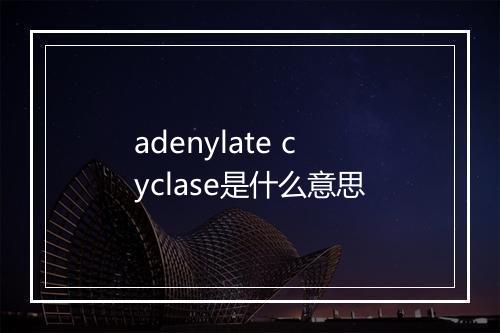 adenylate cyclase是什么意思