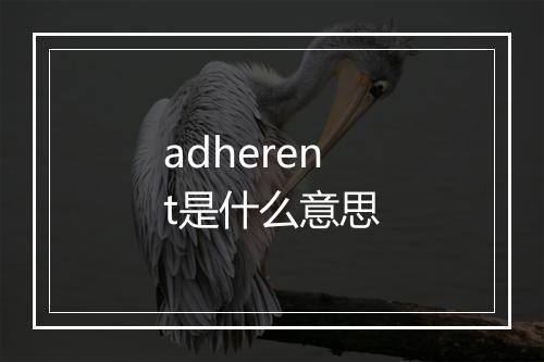 adherent是什么意思