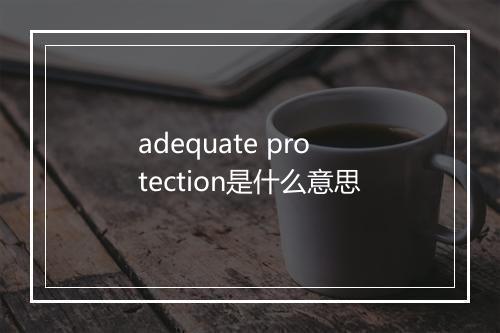 adequate protection是什么意思