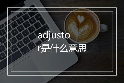 adjustor是什么意思