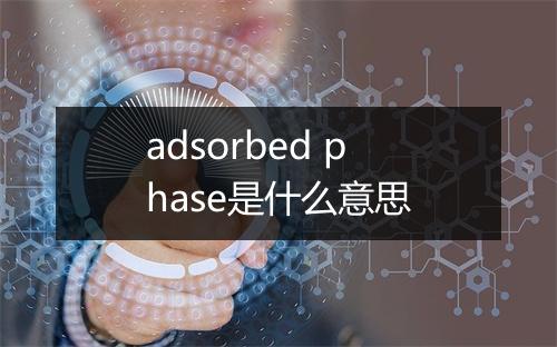 adsorbed phase是什么意思