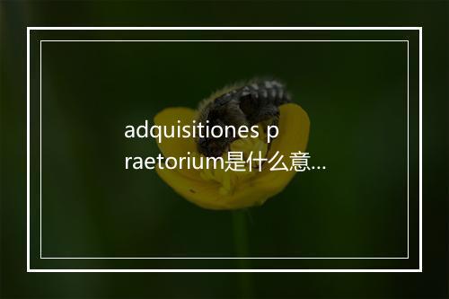 adquisitiones praetorium是什么意思