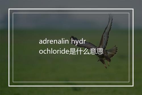 adrenalin hydrochloride是什么意思