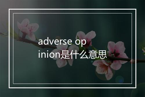 adverse opinion是什么意思