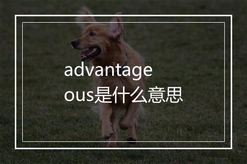 advantageous是什么意思