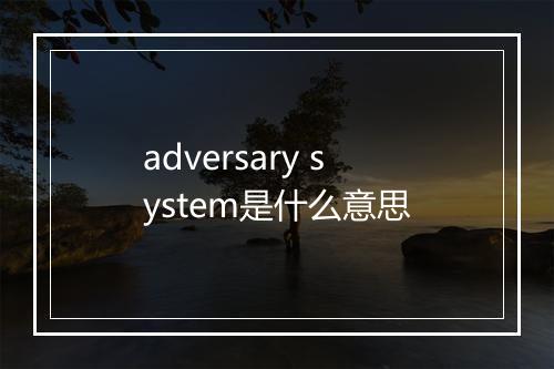 adversary system是什么意思