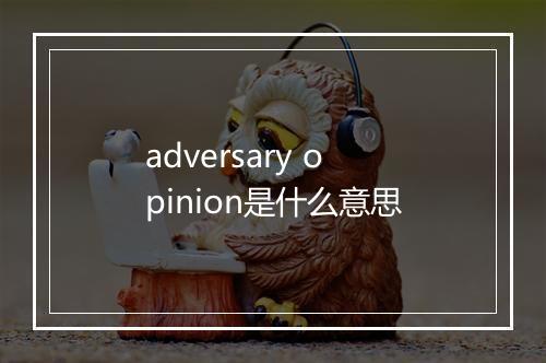 adversary opinion是什么意思