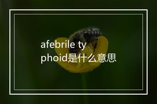 afebrile typhoid是什么意思