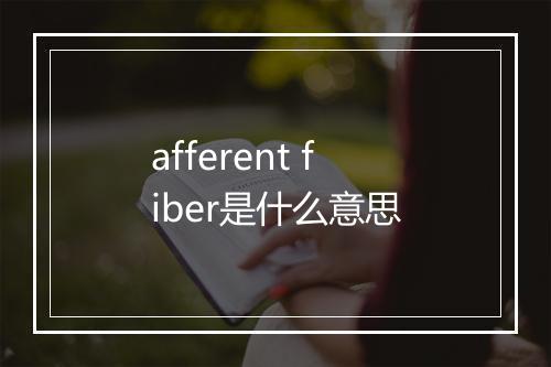 afferent fiber是什么意思