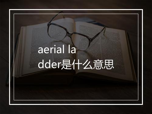 aerial ladder是什么意思