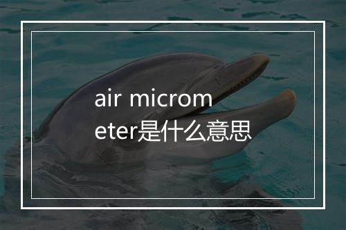 air micrometer是什么意思