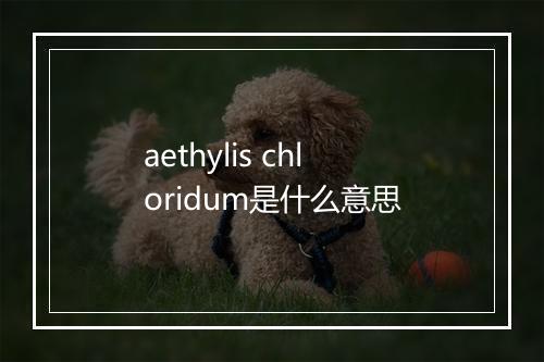 aethylis chloridum是什么意思