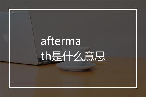 aftermath是什么意思