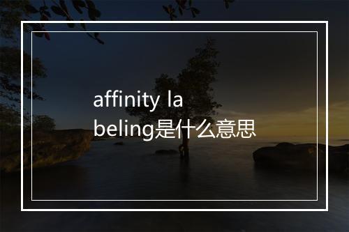 affinity labeling是什么意思