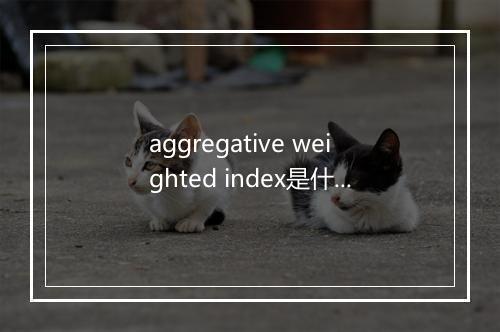 aggregative weighted index是什么意思