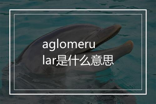 aglomerular是什么意思