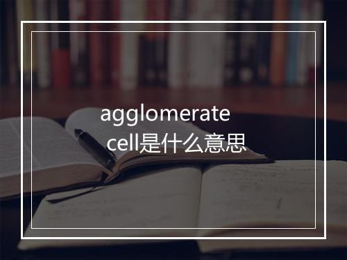 agglomerate cell是什么意思