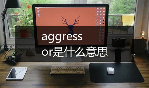 aggressor是什么意思