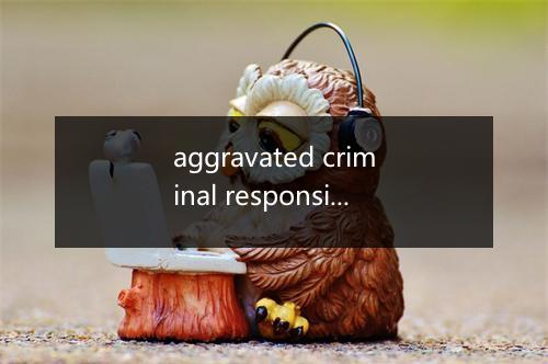 aggravated criminal responsibility是什么意思