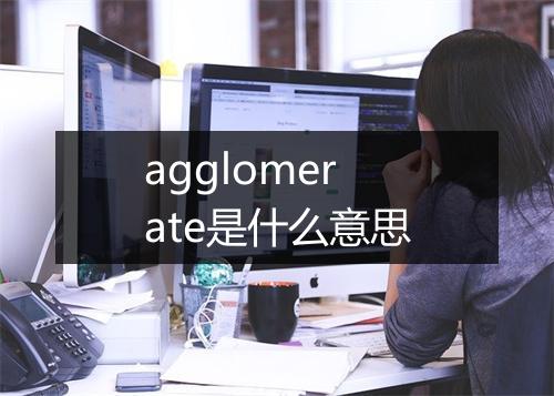 agglomerate是什么意思