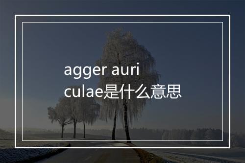 agger auriculae是什么意思