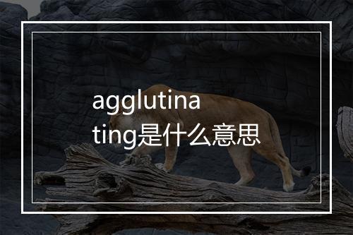 agglutinating是什么意思