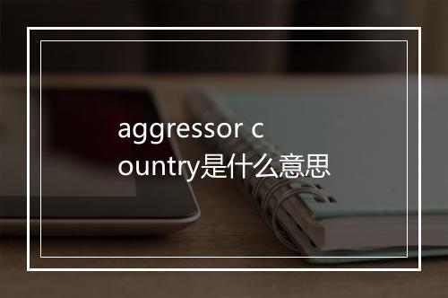 aggressor country是什么意思